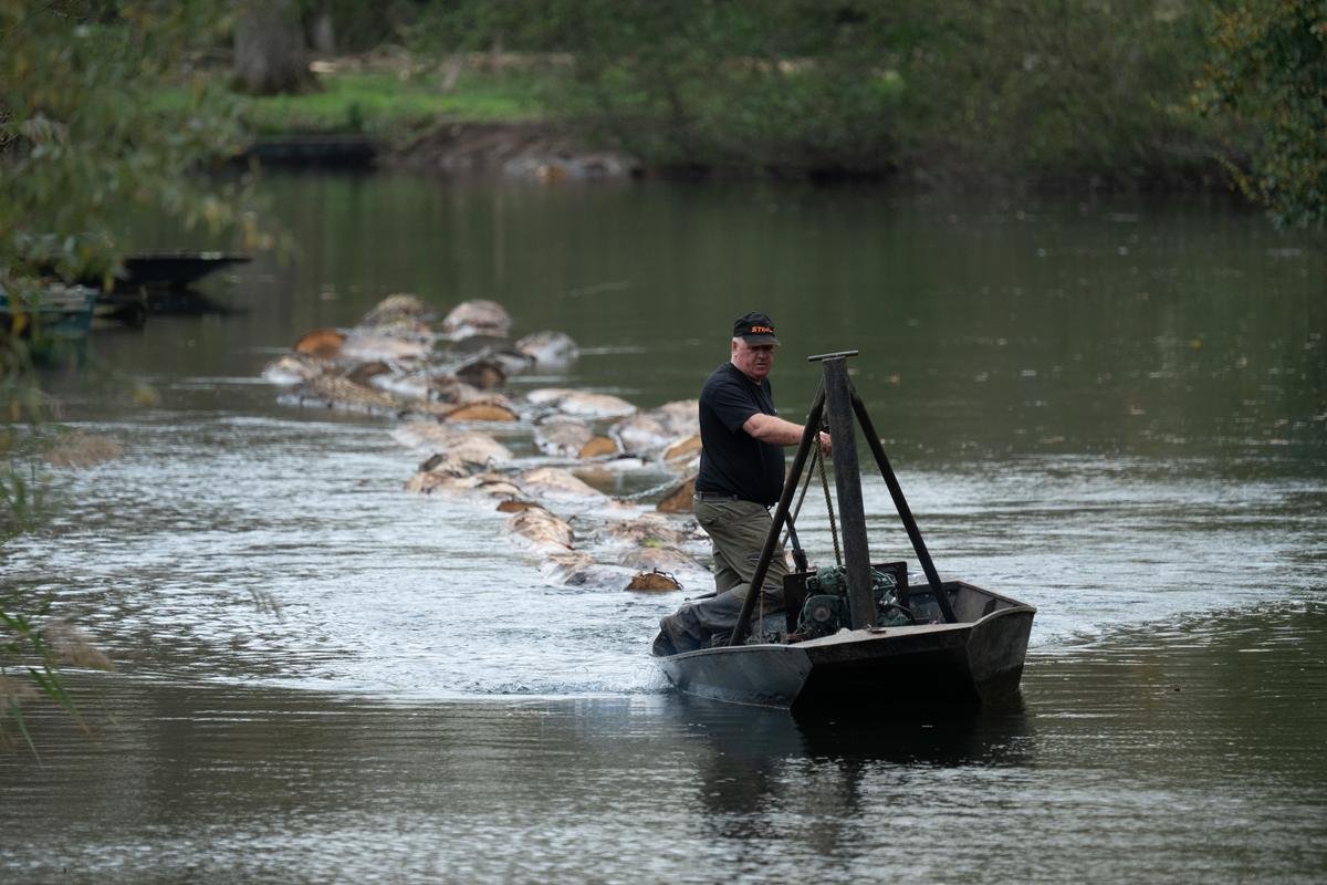 Marais poitevin : dans le sillage du dernier conducteur de train de bois