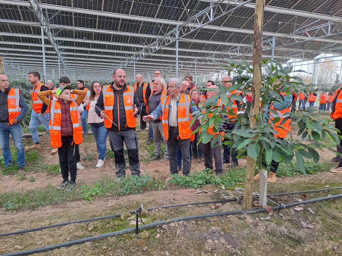 Villeneuve-sur-Lot : En attendant kiwis rouges et avocats, la serre photovoltaïque peut alimenter un quart des foyers en électricité
