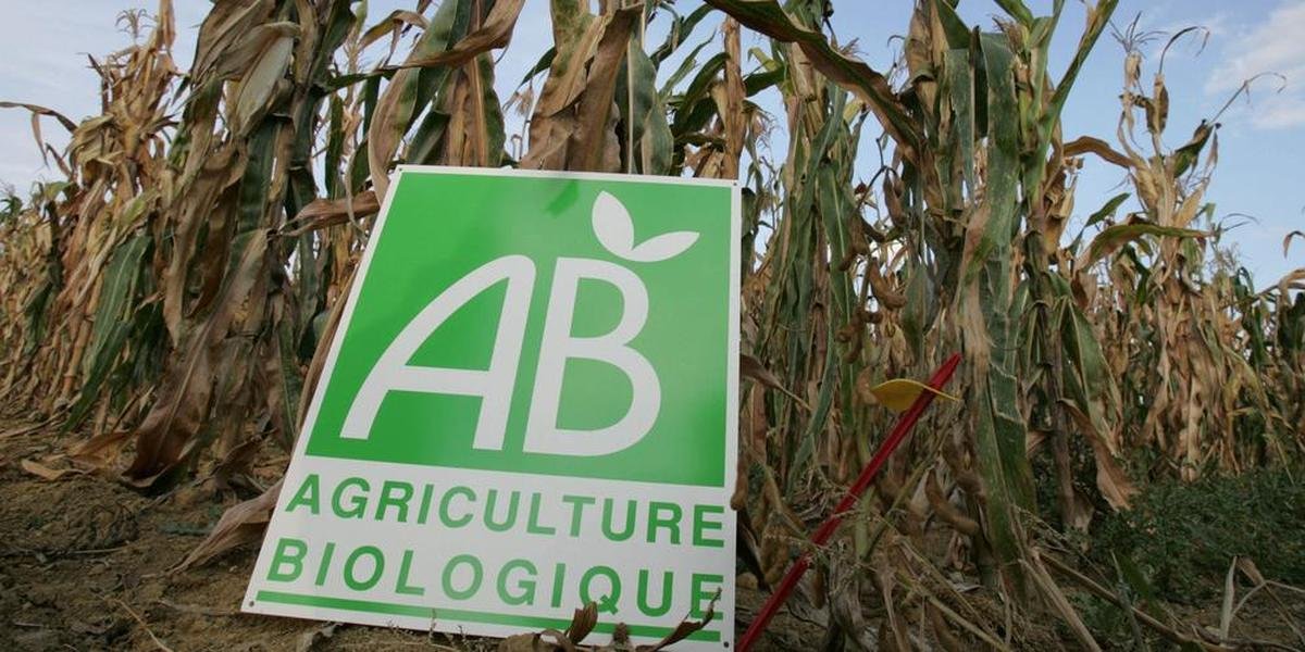 Pourquoi les labels « bio » ne se valent pas d’un pays à l’autre