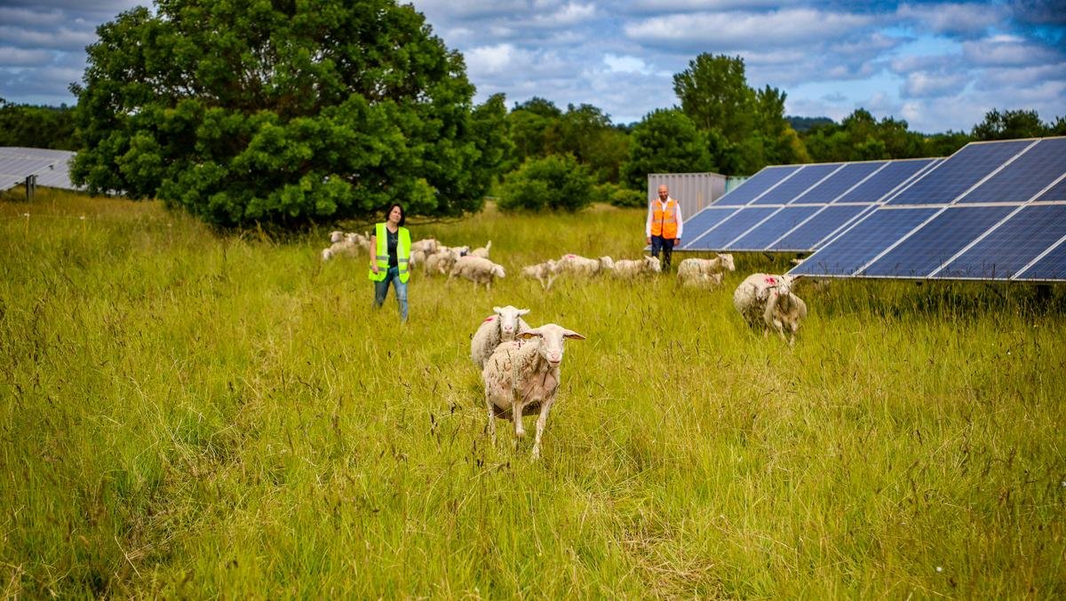 Tonnay-Charente : un projet agrivoltaïque à cheval sur Cabariot présenté aux élus du Conseil municipal