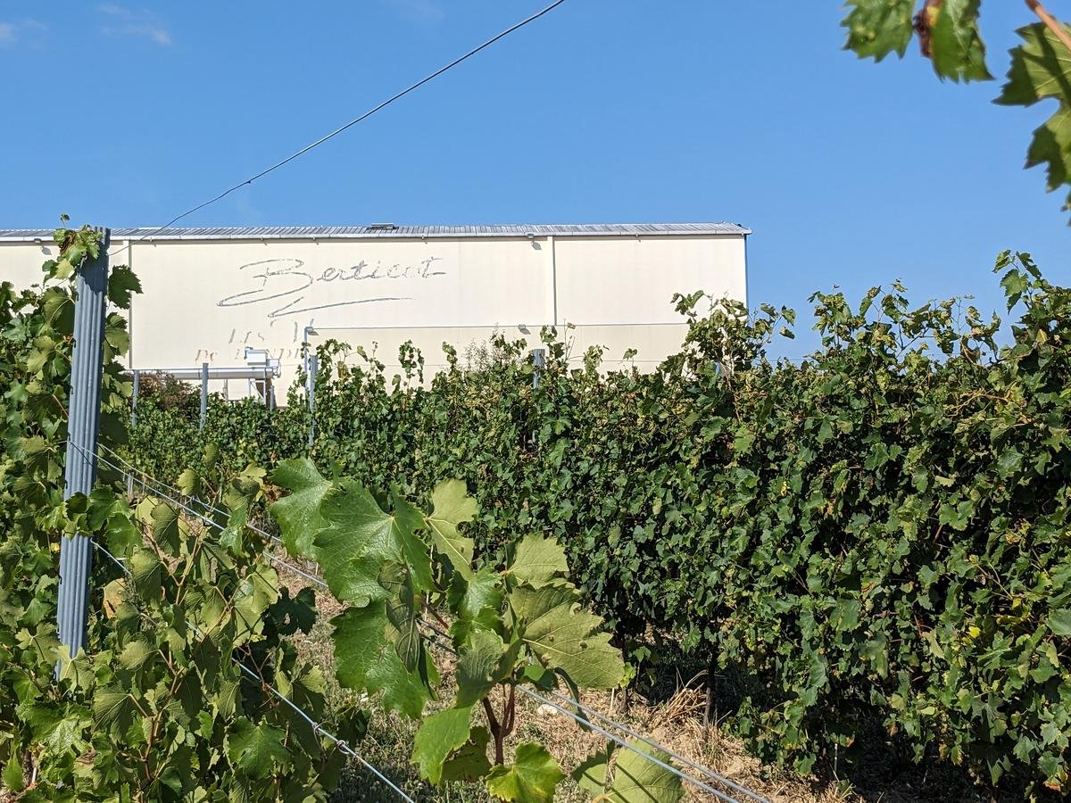 La cave Berticot à Duras célèbre ses 60 ans