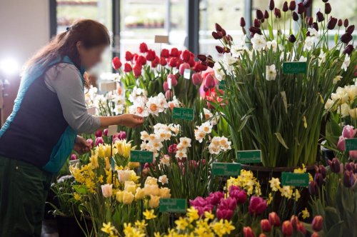 Travail le 1er mai : les fleuristes saluent le soutien de la ministre à une réforme