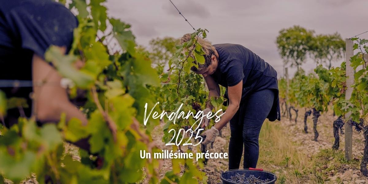 Vendanges 2025 : un millésime précoce
