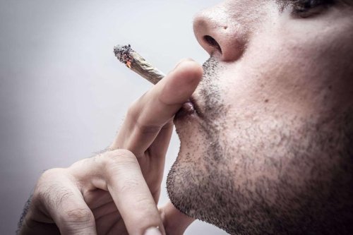 Infarctus du myocarde : la consommation de cannabis augmente le risque