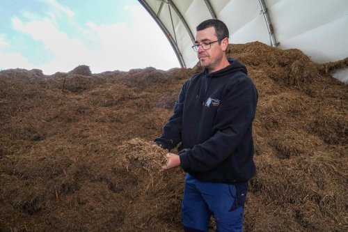 Agriculture. Et si la fougère remplaçait le fumier ? Le pari gagnant d’un artisan basque