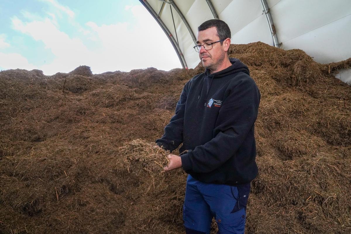 Agriculture. Et si la fougère remplaçait le fumier ? Le pari gagnant d’un artisan basque