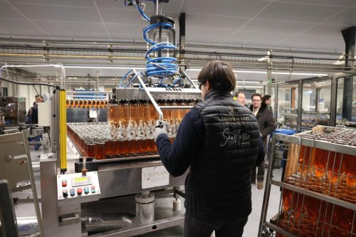 Vins effervescents : les ventes de crémants poursuivent leur belle progression