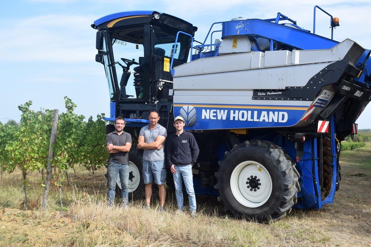 Pays de Duras : ils espèrent des vendanges de qualité malgré les aléas climatiques