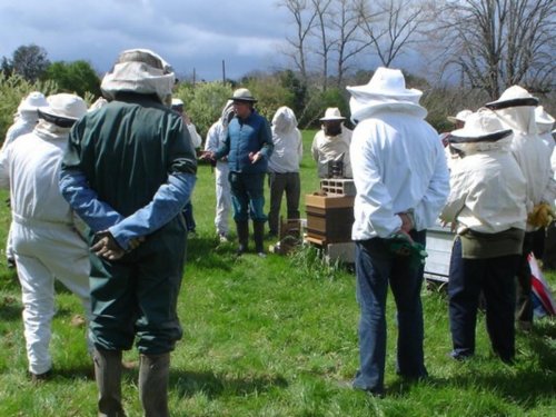 Trélissac : la Fête du miel et des abeilles fête sa 6e édition