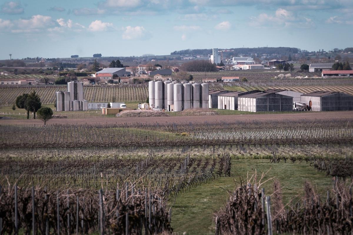 Charente-Maritime : la Haute-Saintonge, poumon du cognac