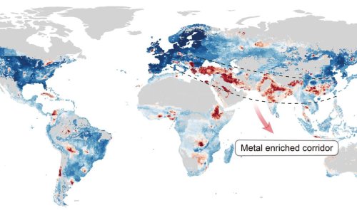 Agriculture : environ 15 % des terres cultivables dans le monde sont contaminées aux métaux lourds