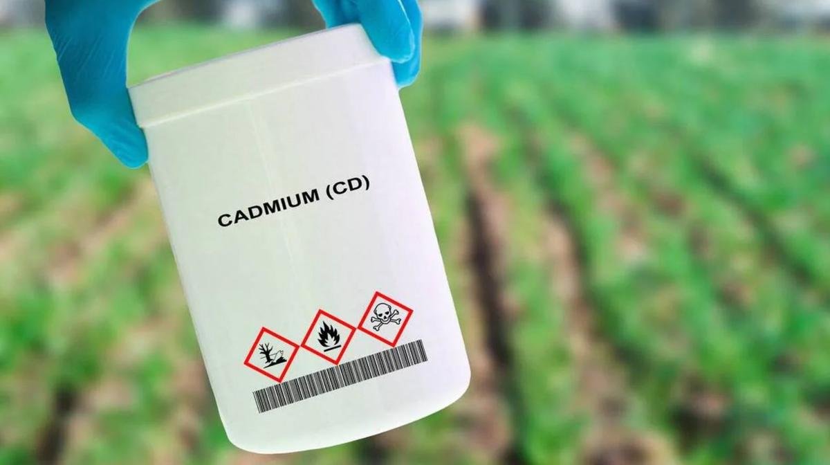 Contamination au cadmium : des dépistages remboursés dès l’automne en médecine de ville