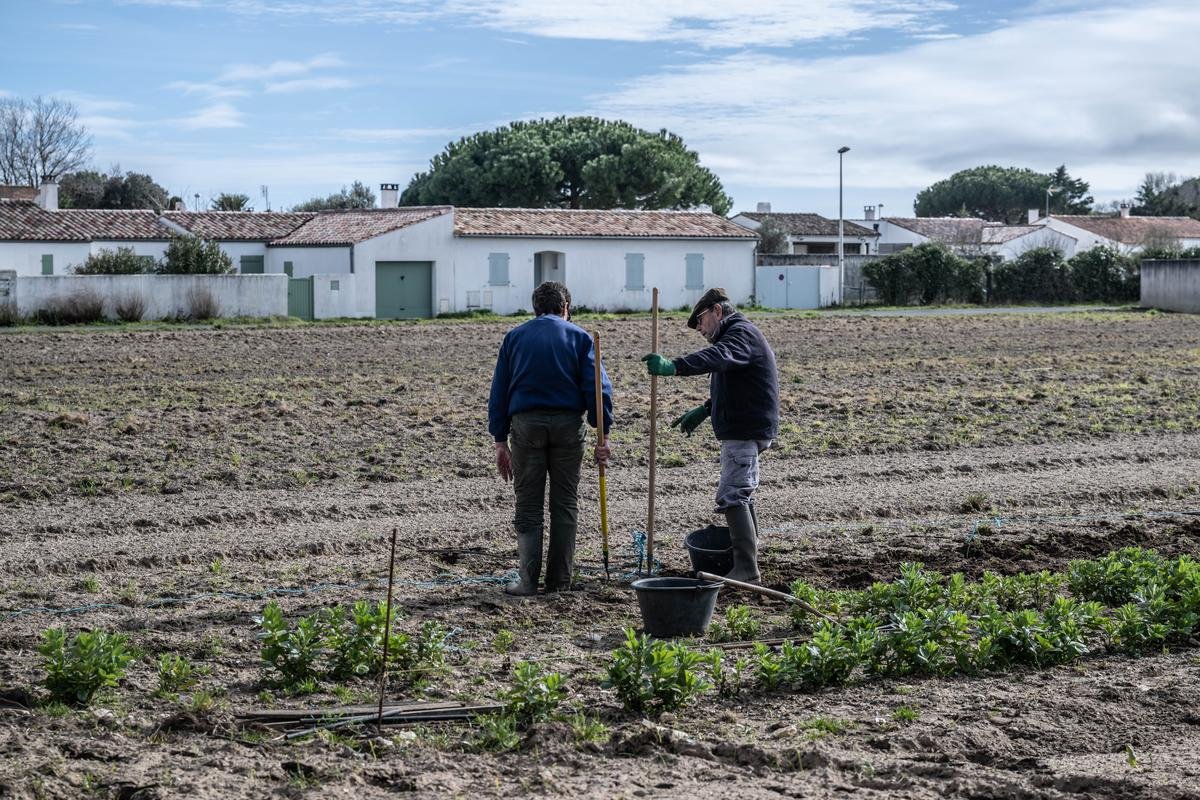 Pesticides et qualité de l’air : des résultats rassurants à Sainte-Marie-de-Ré