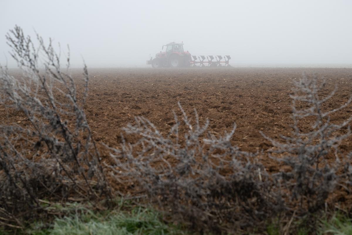 Vague de froid en Charente-Maritime : ces métiers qui ne craignent pas d’affronter le gel