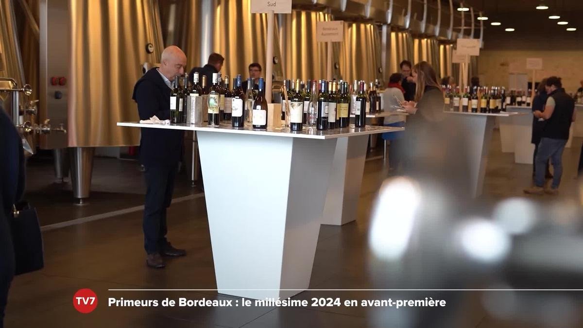 Primeurs de Bordeaux : le millésime 2 024 en avant-première