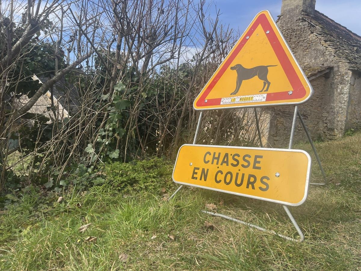 Rochefort : malgré la réduction du terrain de chasse, les chasseurs jouent le jeu de la réglementation
