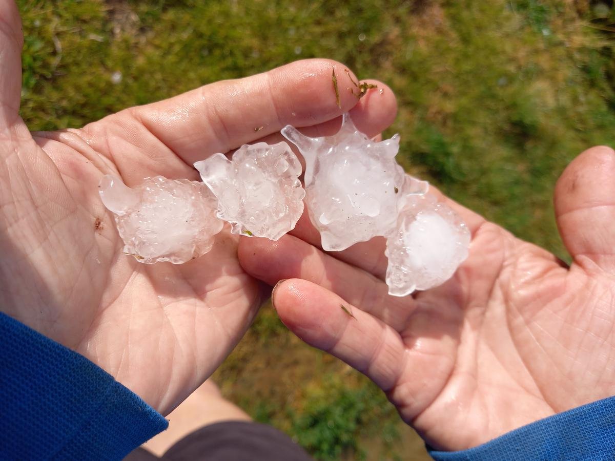 Orages de grêle en Dordogne : les exploitants de 94 communes pourront être indemnisés