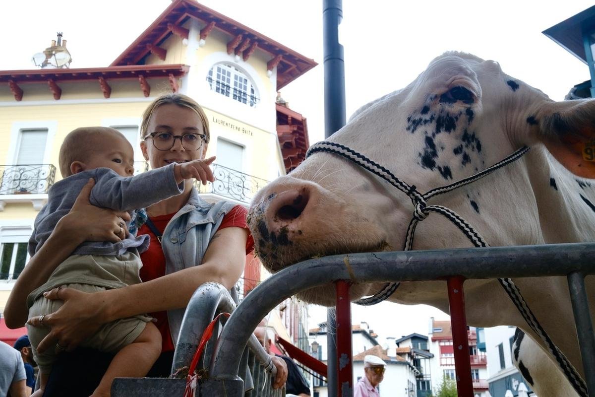 « Ils ne savent plus à quoi ressemble une vache laitière » : à Saint-Jean-de-Luz, agriculteurs et consommateurs se rencontrent pour mieux se connaître