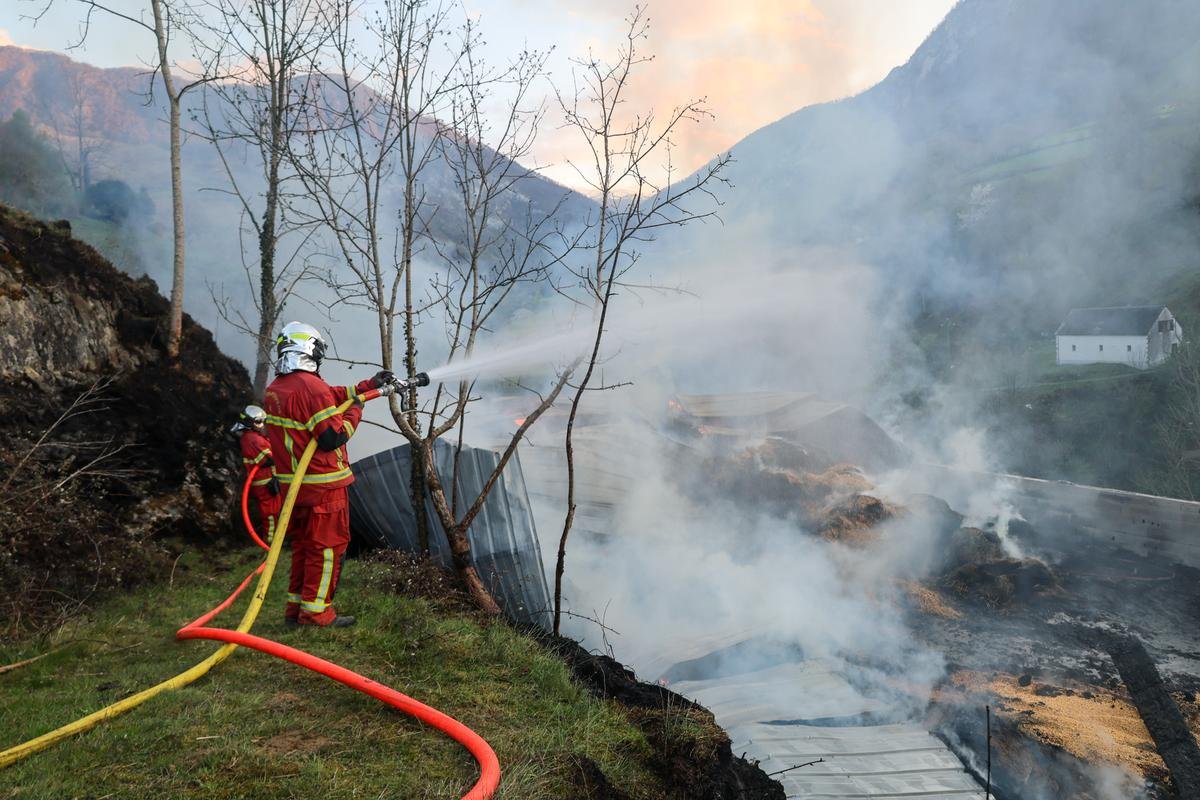 INFO « SUD OUEST ». « Elles étaient magnifiques » : le frère de Jean Lassalle perd 58 agnelles dans un incendie