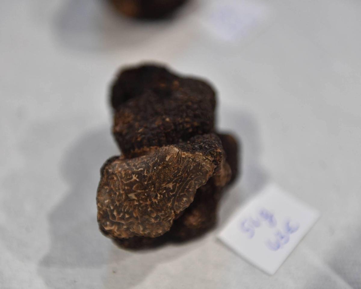 Dordogne : les dates d’ouverture des marchés aux truffes sont connues
