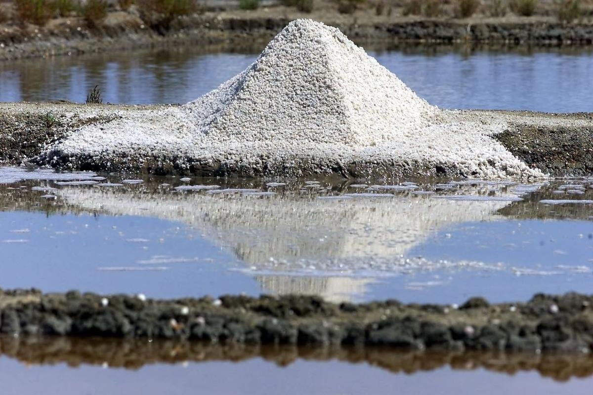 Île d’Oléron : une stratégie en quatre axes pour soutenir l’agriculture locale et durable