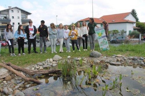 Anglet : les collégiens d’Endarra passent du jardin partagé au havre de biodiversité