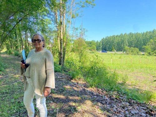 ​Langon : le parc du Brion, un nouveau « poumon vert » pour la ville
