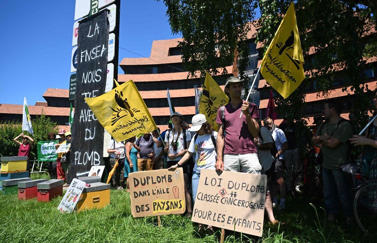 Loi Duplomb : acétamipride, stockage d’eau et vote, la décision du Conseil constitutionnel très attendue ce jeudi