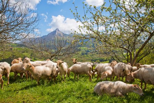 Tourisme au Pays basque espagnol : les parcs naturels du Gipuzkoa, de l’Álava et de la Biscaye invitent à la balade