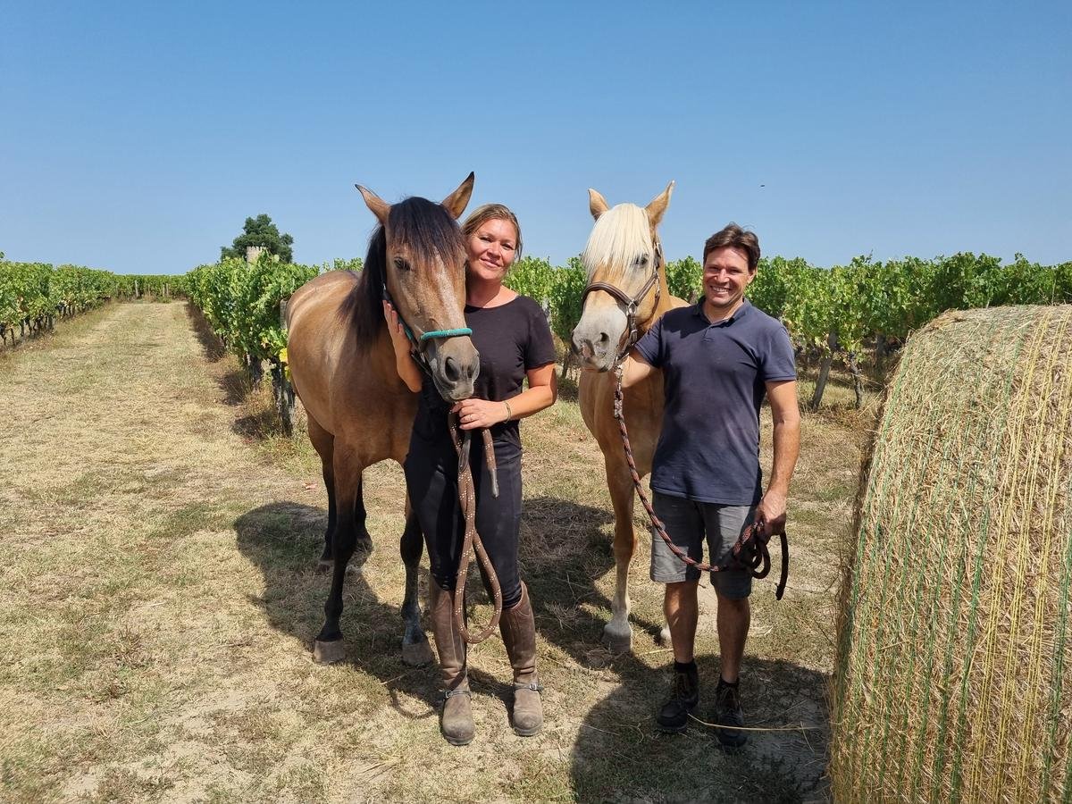 Un couple de viticulteurs cesse son activité à Laroque, une entreprise de Landiras en expansion, un nouveau tatoueur à Langon… Les échos éco du Sud-Gironde