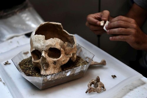 Paraguay : trois Allemands interpellés pour le meurtre d’un archéologue et de sa fille de 14 ans