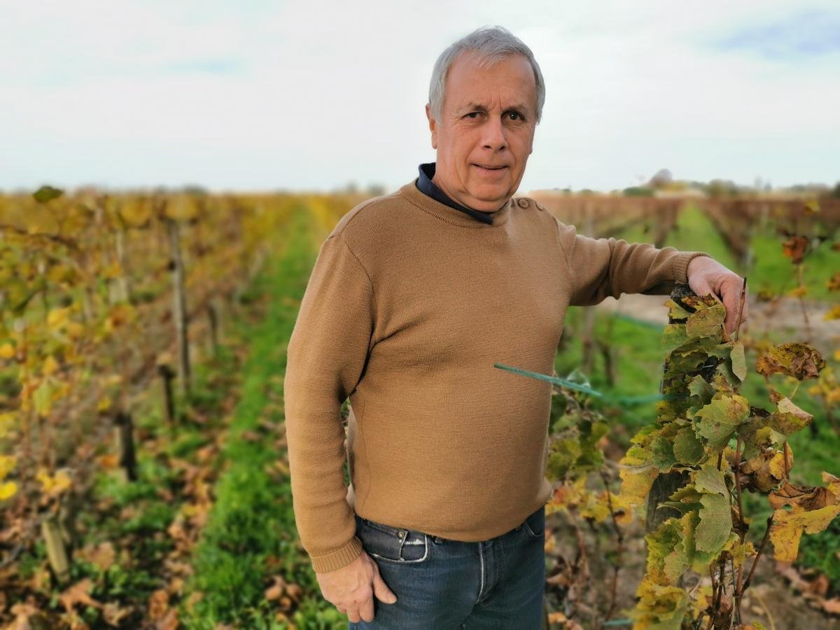 Viticulture en Gironde. « Il y a un vrai élan collectif » : pour ses portes ouvertes, Pomerol double la mise