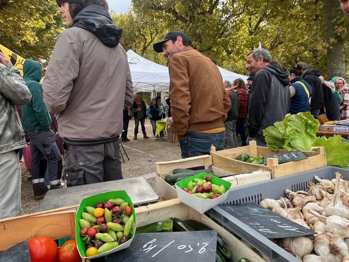 « Un enjeu de survie » : les agriculteurs bio de Dordogne craignent la disparition du crédit d’impôt