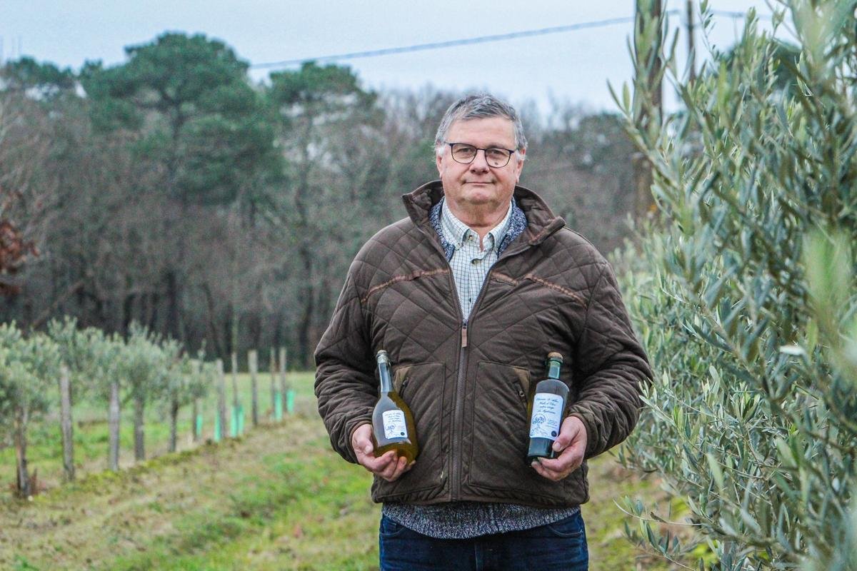 « Mon pauvre, c’est une tuerie ! » On a testé la première huile d’olive 100 % Gironde