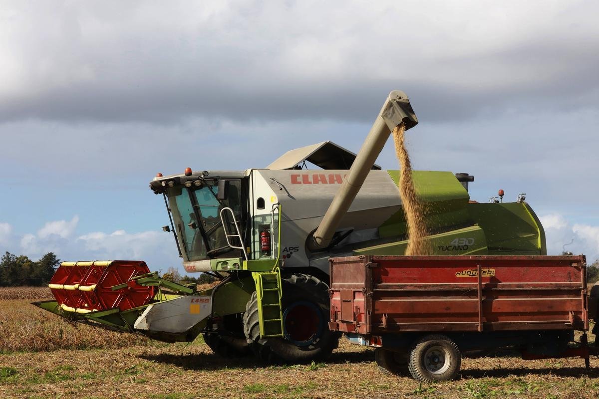 Changement climatique : les rendements agricoles mondiaux devraient chuter de 11 à 24 % d’ici 2100