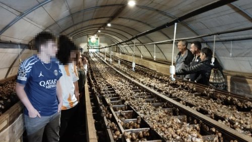 Meilhan-sur-Garonne : les secrets de l’héliciculture dévoilés à des lycéens tonneinquais