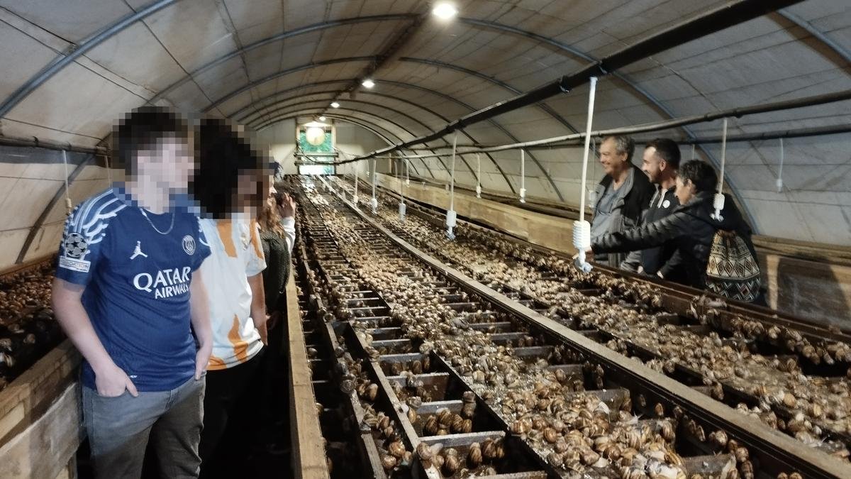 Meilhan-sur-Garonne : les secrets de l’héliciculture dévoilés à des lycéens tonneinquais