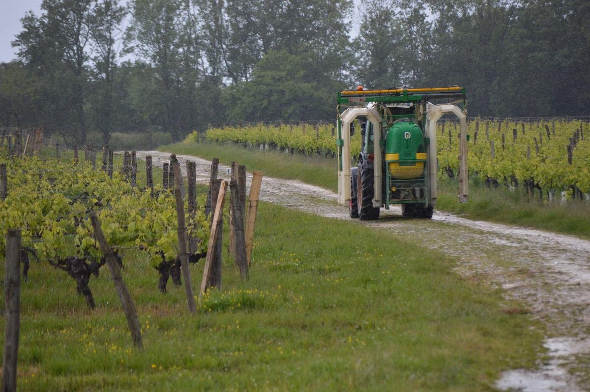 « On est plusieurs à avoir franchement peur » : près de Bordeaux, les pesticides angoissent les riverains la vigne