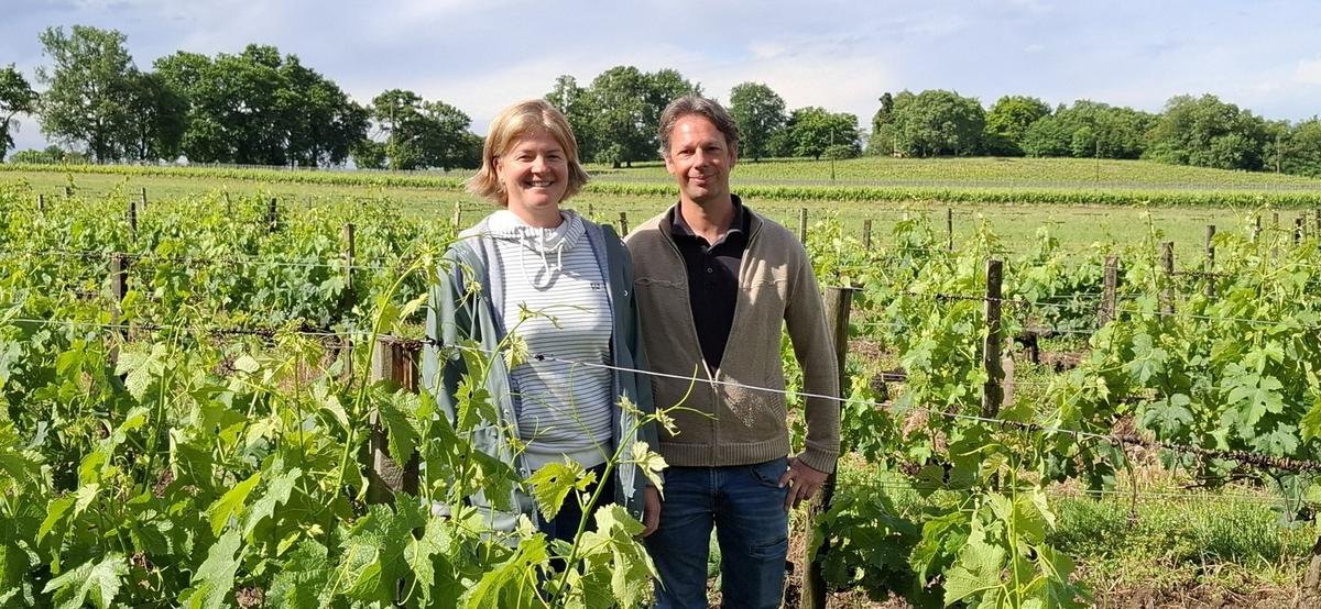 Crise viticole en Gironde : ces producteurs cubzaguais font le pari de planter des kiwis pour se diversifier