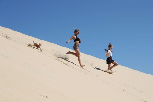 Bassin d’Arcachon : en 2024, plus de 1,5 million de personnes ont marché sur la dune du Pilat