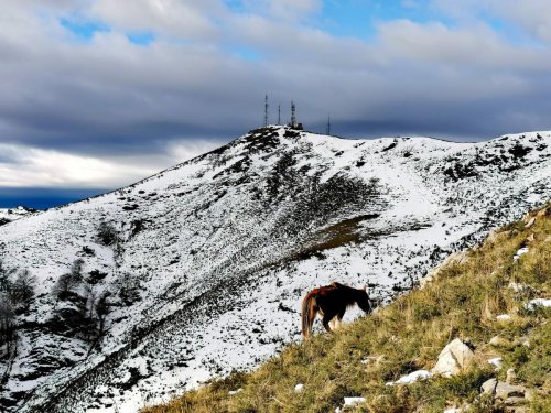 Trail (17 kilomètres) : l’Hivernale du Baigura lance la saison des épreuves montagneuses