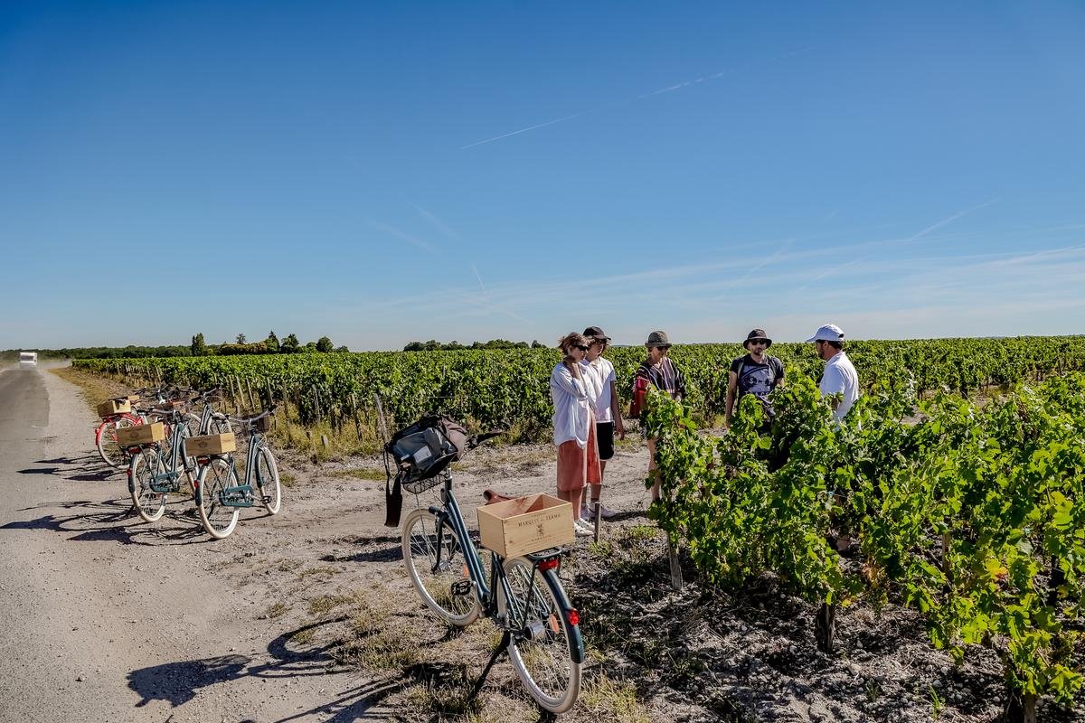 Œnotourisme : Bordeaux élue 3e meilleure destination viticole selon un sondage