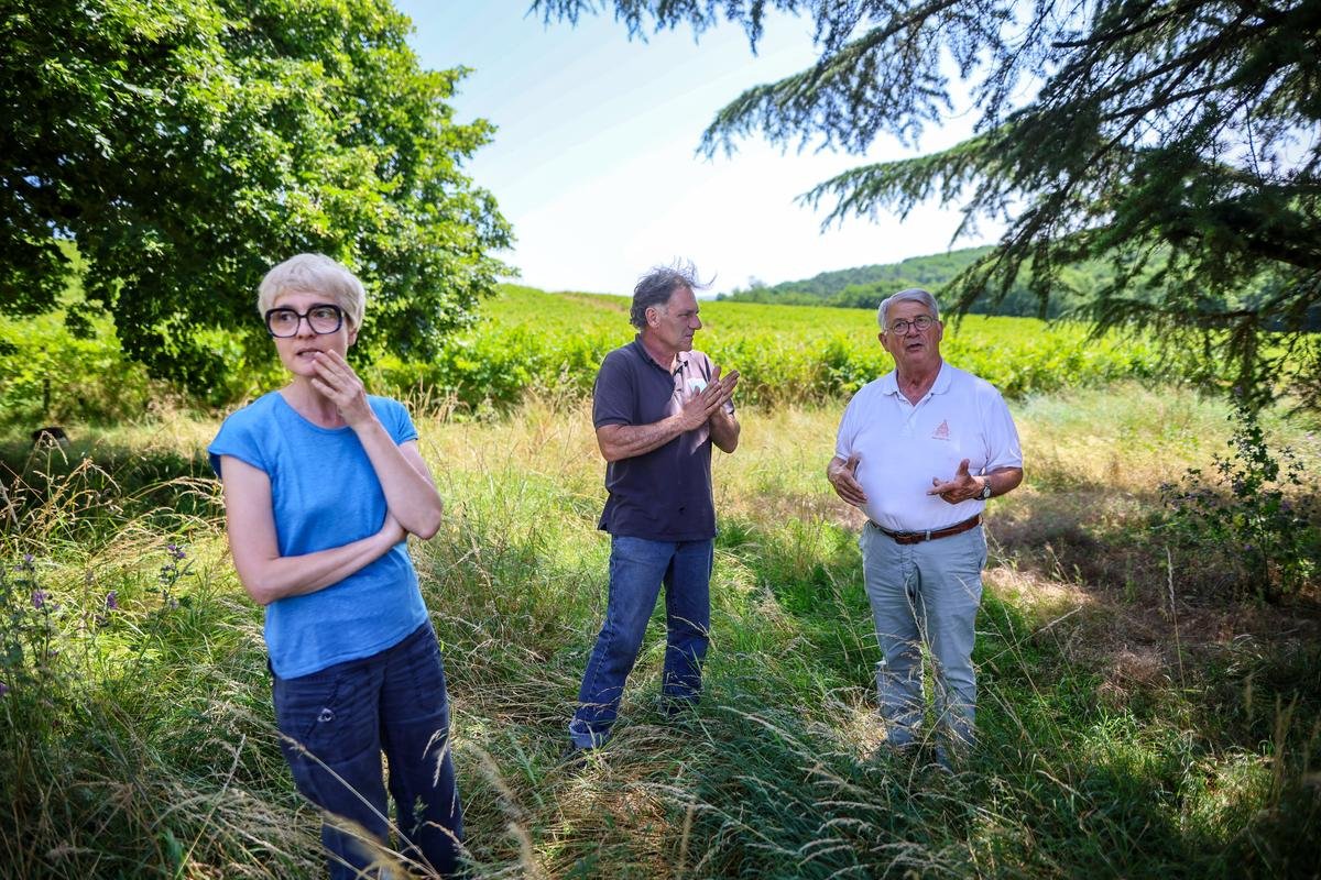 Vins de Buzet : opération sauvetage pour le Château de Gueyze, à l’abandon pendant deux ans