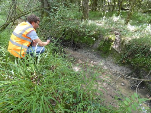 Poissons morts en Dordogne : le rapport de l’Office français de la biodiversité rendu public