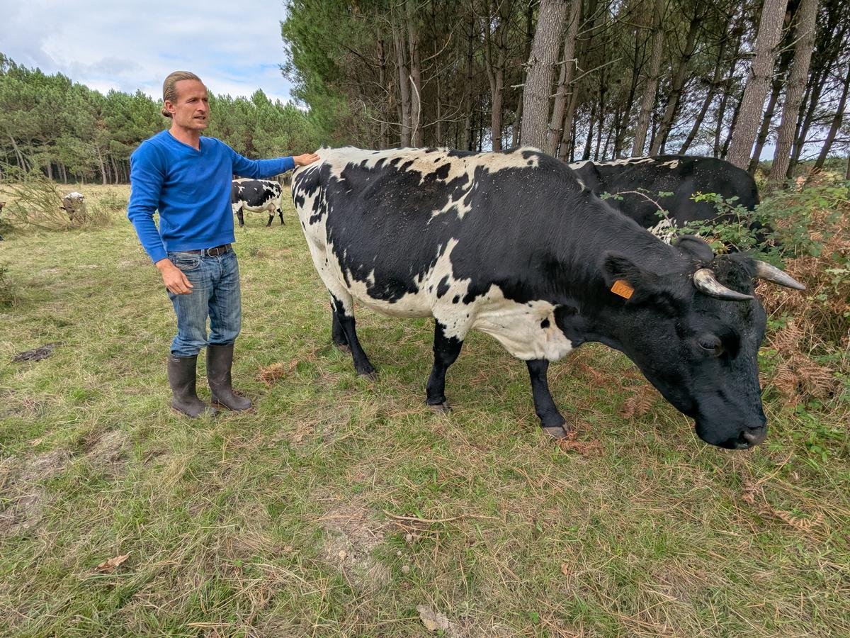 Abattoirs de Bazas et Eymet : des fermetures qui « remettent en cause l’activité » d’éleveurs lot-et-garonnais