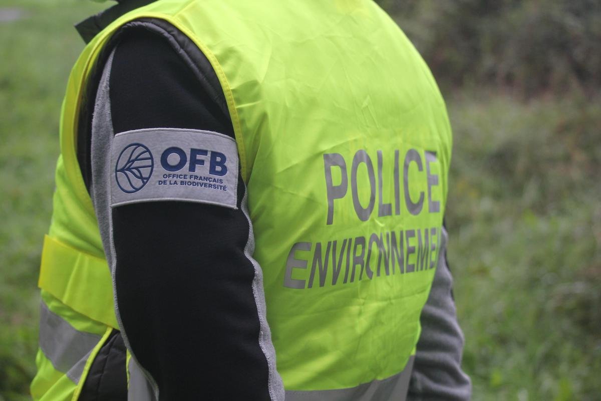 Environnement : les agents de l’Office de la Biodiversité ne « sont pas des justiciers », explique leur patron