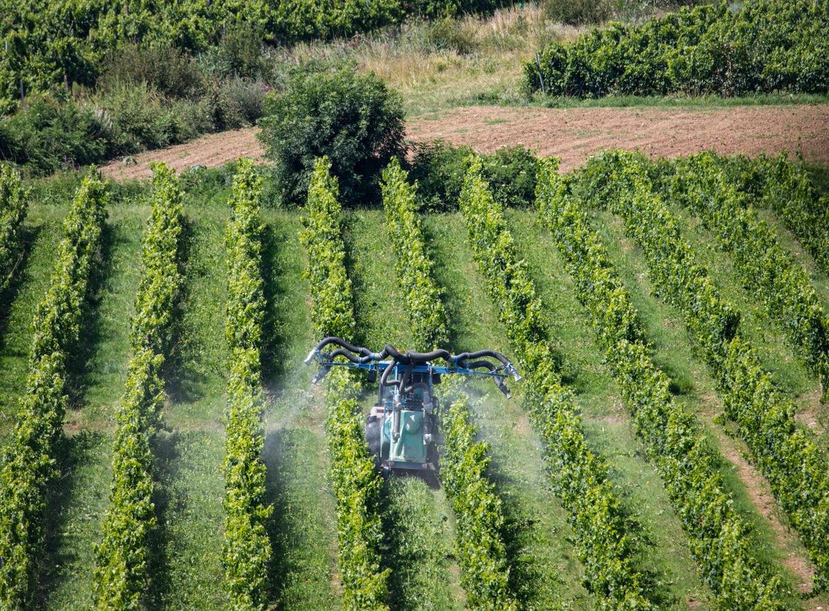 Pesticides : le tribunal de Bordeaux ordonne la transmission des registres d’épandage à l’ONG Générations Futures