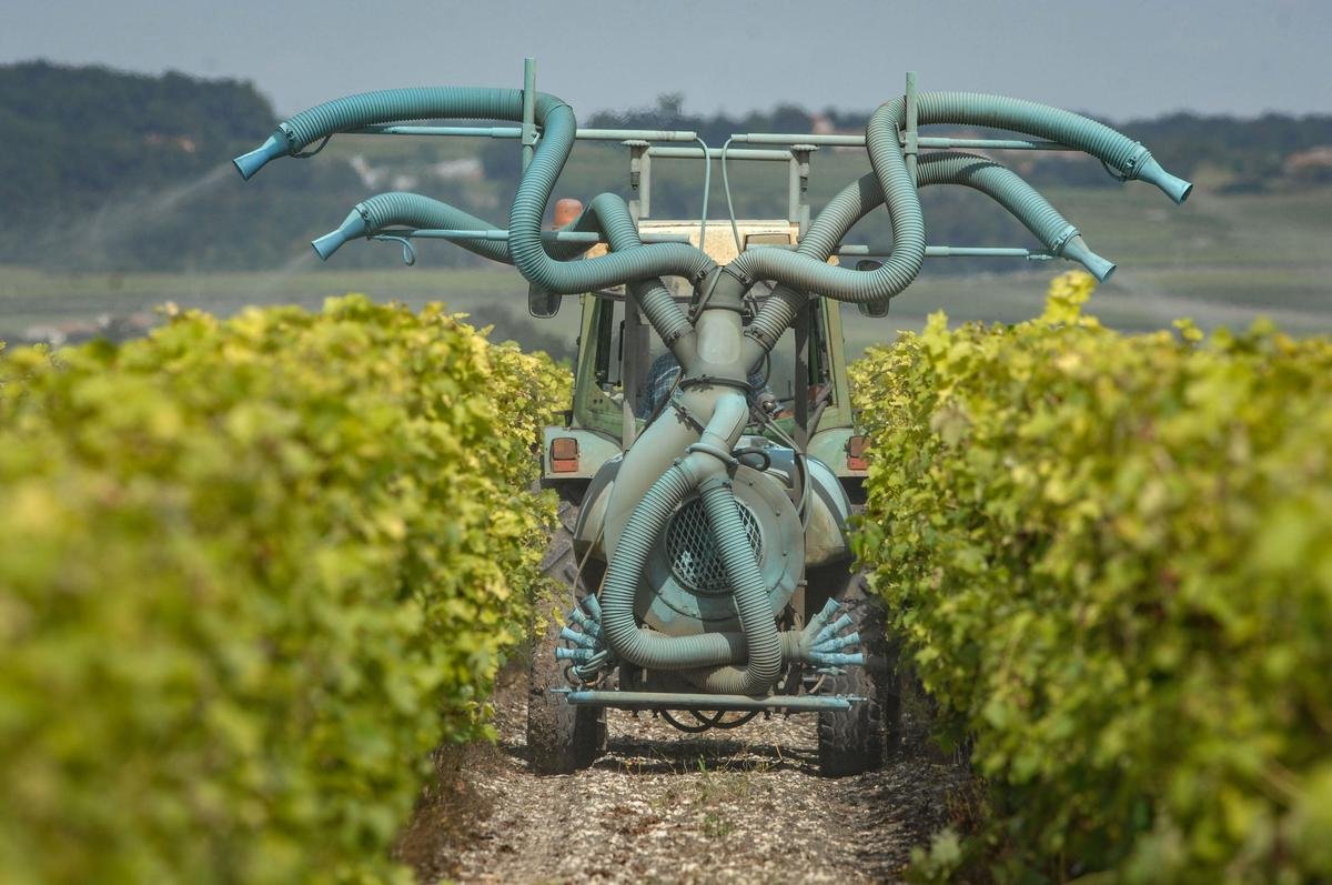 Viticulture : le député vert bordelais veut une loi pour écarter les pesticides des habitations