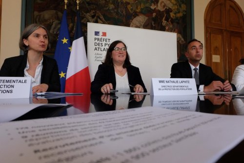 Tuberculose bovine dans les Pyrénées-Atlantiques : une vigilance accrue avant le départ en estive