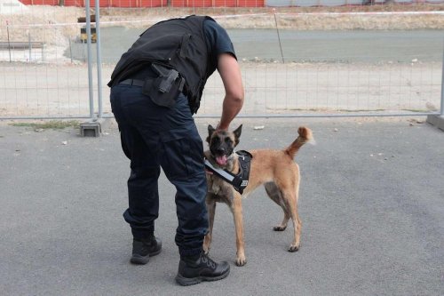 Mont-de-Marsan : des stupéfiants reniflés sur deux femmes au parloir de la prison